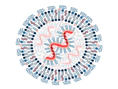 واکسن های mRNA